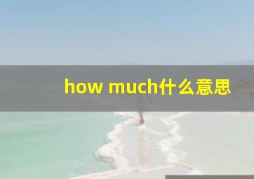 how much什么意思